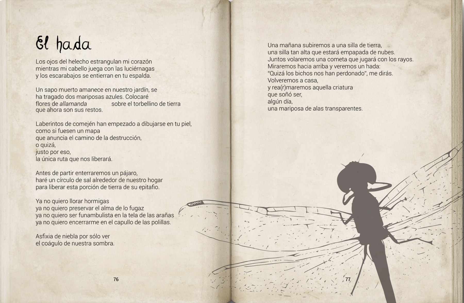Portada de El patacón con pata